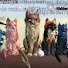 ZhZA3YdTLo0-channel-avatar-sparrowtalonWC