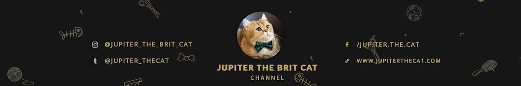 Jupiter The Cat Awatar kanału YouTube