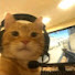 9ANCOLsH8ao-channel-avatar-Dr Cat