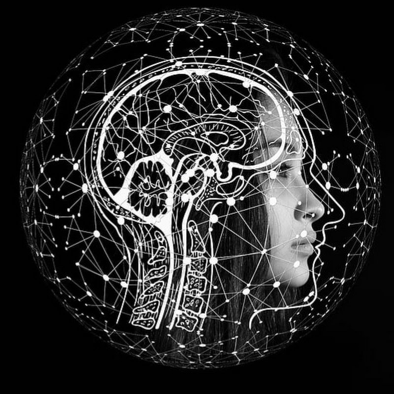 AI Tools Review