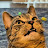 @nintendude7cubed's avatar