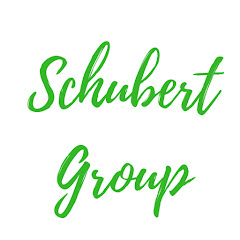 THE SCHUBERT GROUP Friedrich-Schiller-Universität
