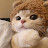 @야옹야옹-b3c