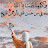 @MayarAbdelghany-uk9ff