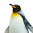 Clanty The Penguin