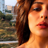 Vansheen sumbriya  profile image