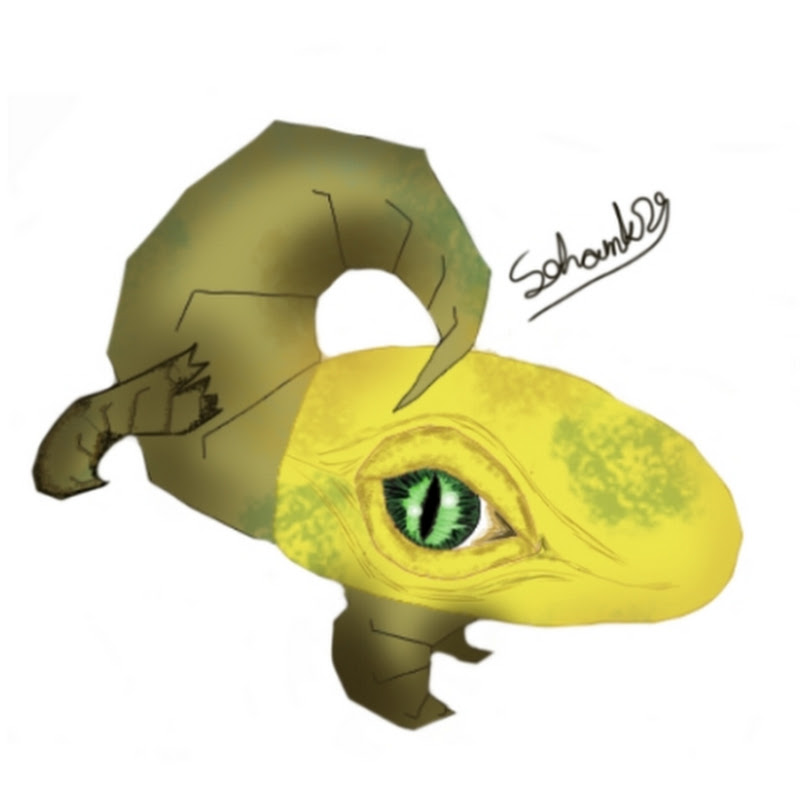 SOHAMK29