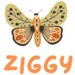 Ziggy Hill net worth