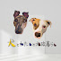 B5LfmDFDCIs-channel-avatar-犬とわたしと北欧暮らし Nordic living channel