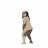 @user-pb6wn1818