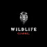 ZQmE2rSQcz4-channel-avatar-The Curious Wild