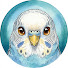 9SttV7Md5nQ-channel-avatar-Your Budgie's Psychology