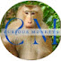 vwhgycwDXKU-channel-avatar-Curious Monkeys 