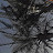 @SalmaAmer-f2o