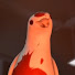 Q-7J5mx86Iw-channel-avatar-A Pigeon