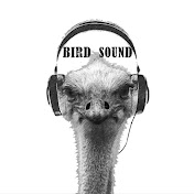 Bird Sound Sessions