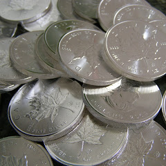 COIN SHOP CHRIS  net worth