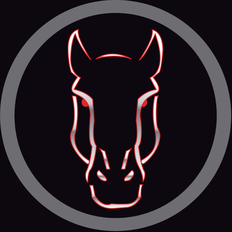 Dark Horse Mustangs