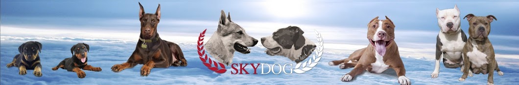 SKY DOG TV YouTube channel avatar