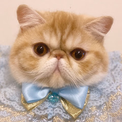 じゅきん