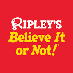 Ripley's Believe It or Not! net worth