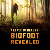 A Flash Of Beauty: Bigfoot Revealed