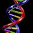 @gene-wh9oq
