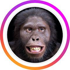 행복한스트랄로