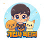 개집사독티처
