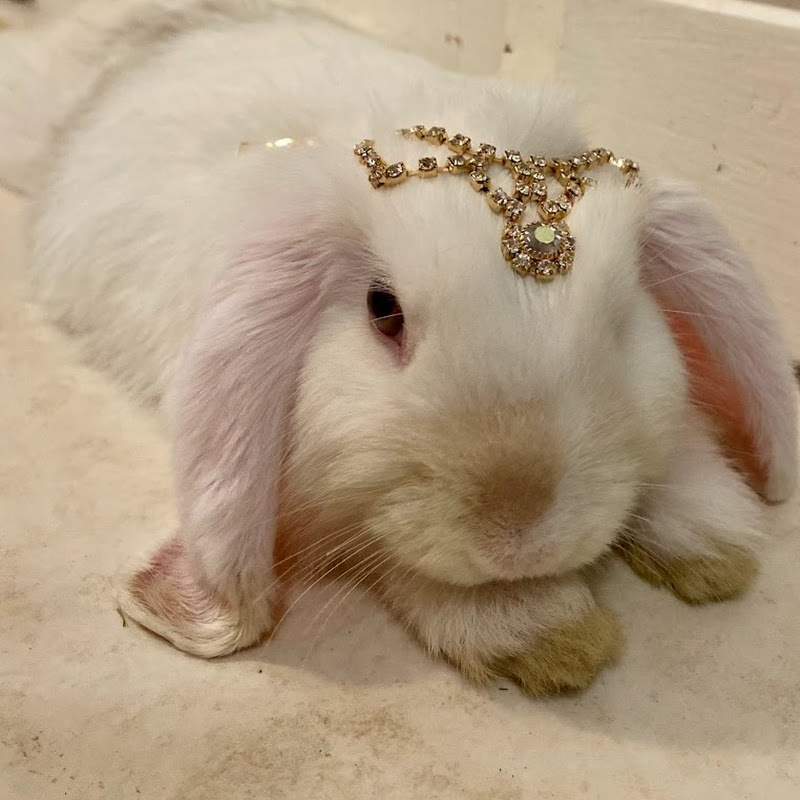bunmami