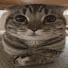 W9BG7cMjybc-channel-avatar-Nikok
