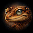 y02ANWacBdg-channel-avatar-Picch1