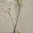 @plmn-q7o
