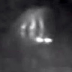 The Australian Yowie