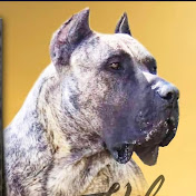 Loyal dogs