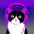 dgqiyPKUOko-channel-avatar-KittyPeccata