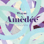 Wayne Amèdée - Topic - Youtube