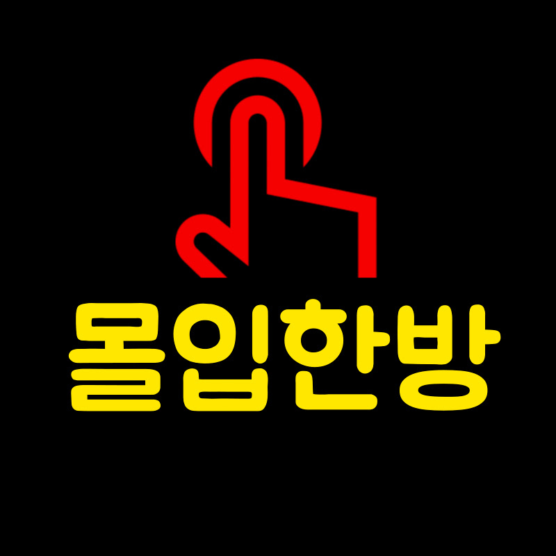 몰입한방