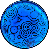 Channel avatar