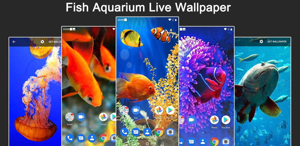 3d Wallpaper Live Fish Image Num 75