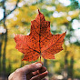 maple leaf logo