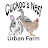 Cuckoo’s Nest Urban Farm