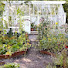 jvMUr7kySAA-channel-avatar-Backyard Agro