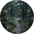 lhFhRkOEhy0-channel-avatar-RAIN 