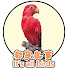 6MEfi68GVp4-channel-avatar-都是鳥事_Its_all_birds