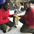 qmtW_5r2kI8-channel-avatar-All In With Ashton & Kevin
