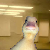 SILLYDUCk