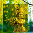 A9JhK4CKWEg-channel-avatar-Shree and Sree Parayil
