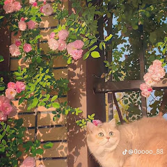 บ้านคิดดี