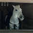 KjZcZsy8SoM-channel-avatar-馬と楠木